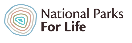 NP4L_logo
